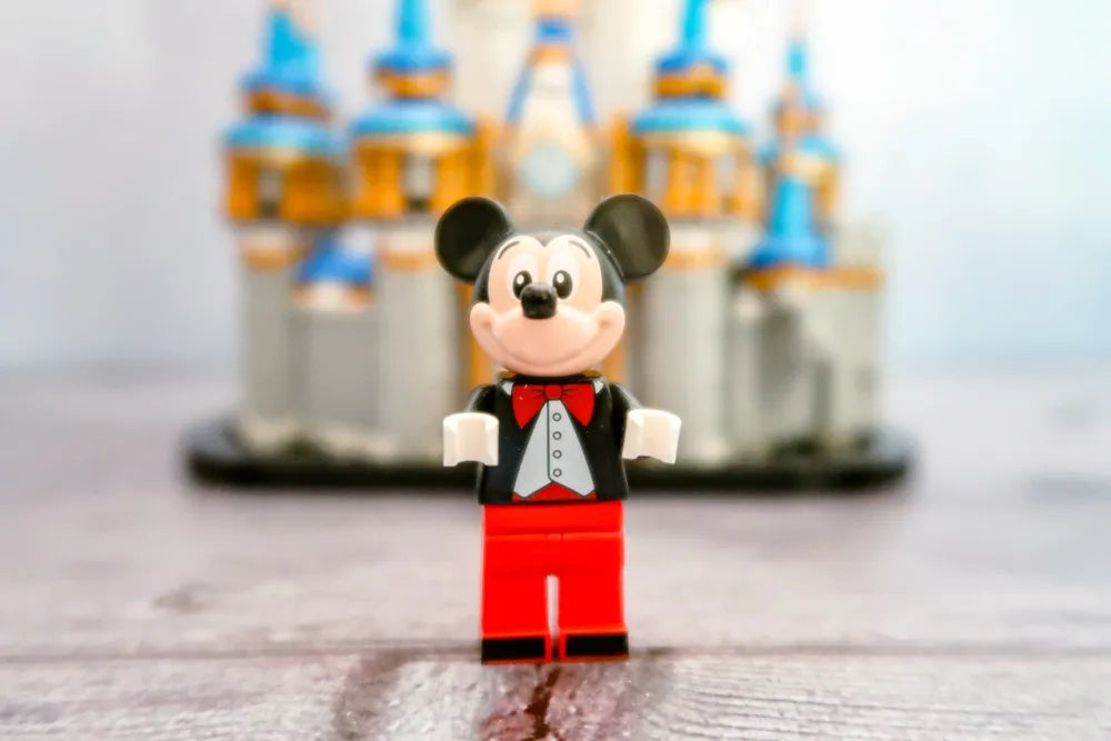 Mini Disney Castle