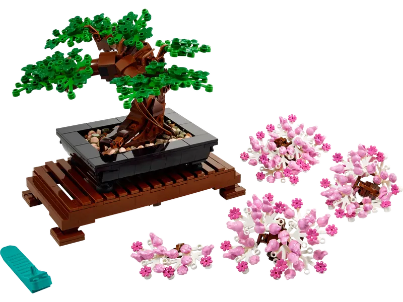 Bonsai Tree