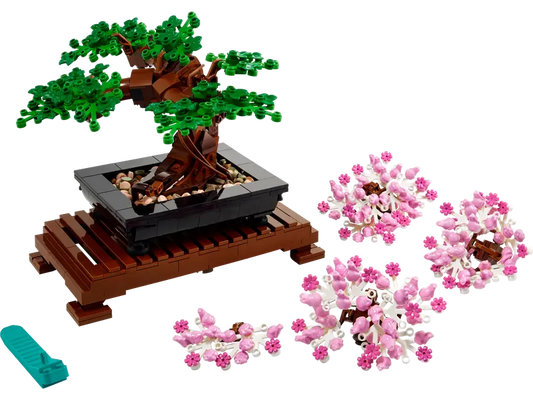 Bonsai Tree