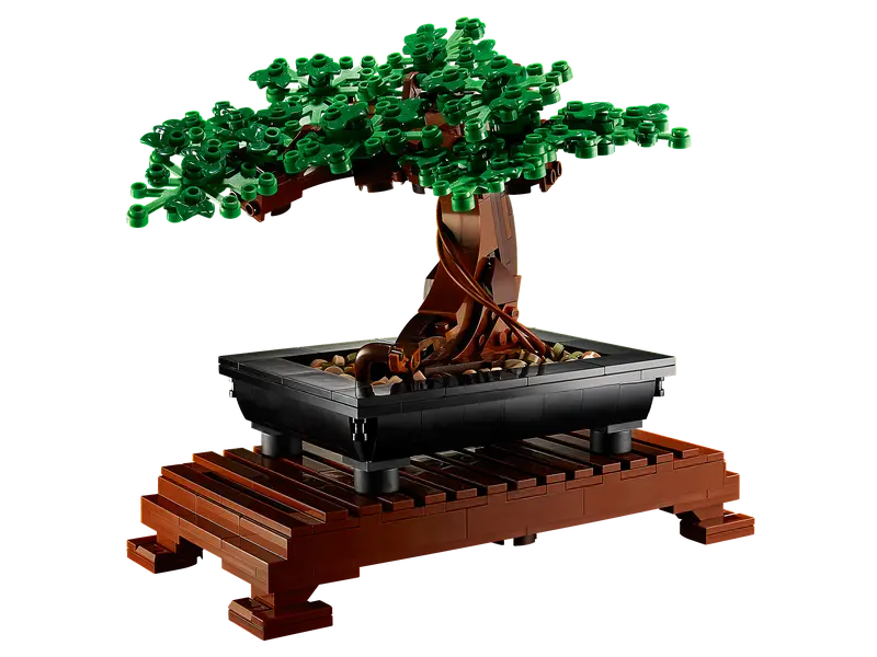 Bonsai Tree