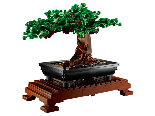 Bonsai Tree