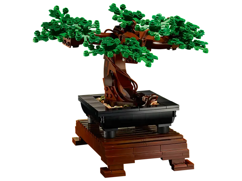 Bonsai Tree