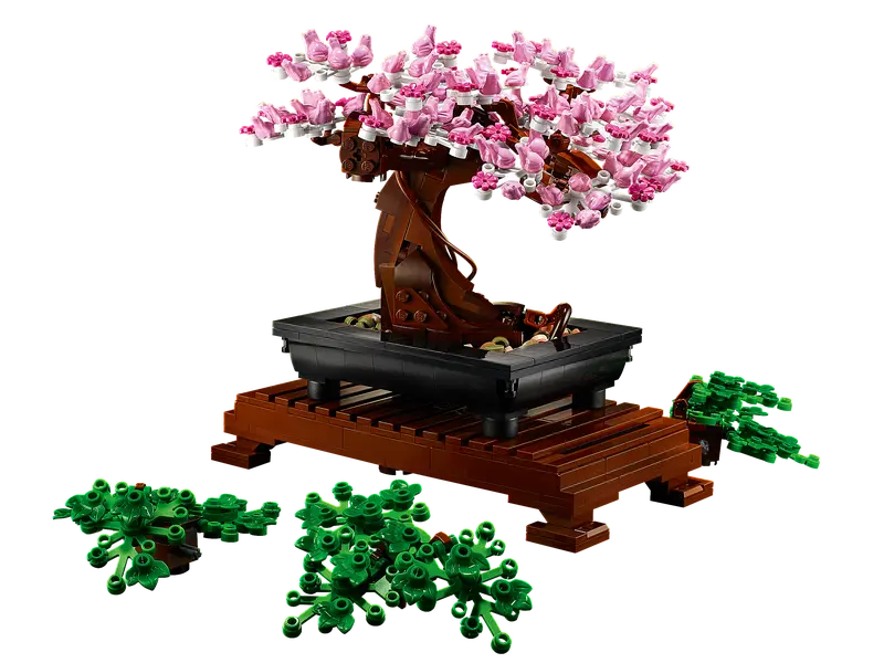 Bonsai Tree