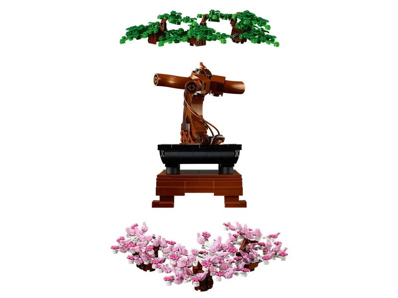 Bonsai Tree