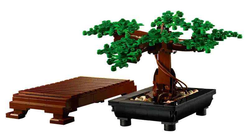Bonsai Tree