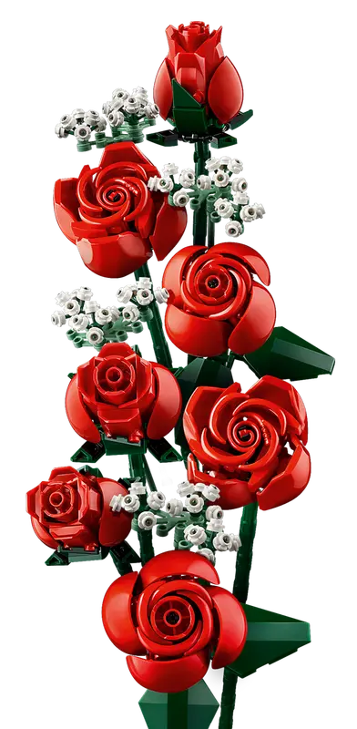 Bouquet of Roses