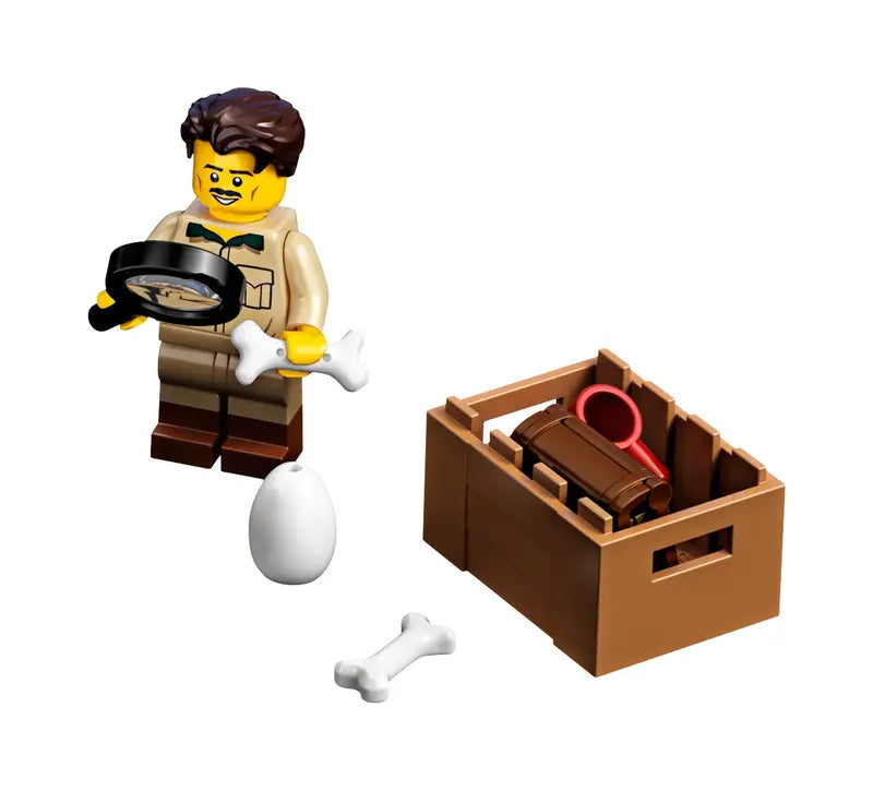 Ideas Dinosaur Fossils