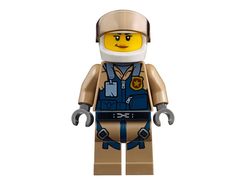 City Mountain Arrest