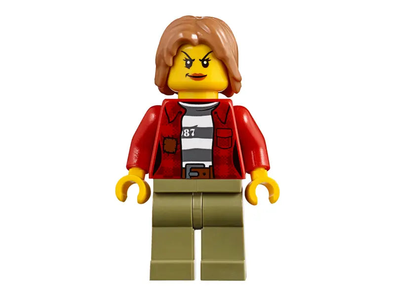 City Mountain Arrest