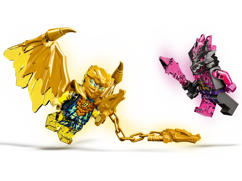 Jay's Golden Dragon Motorbike