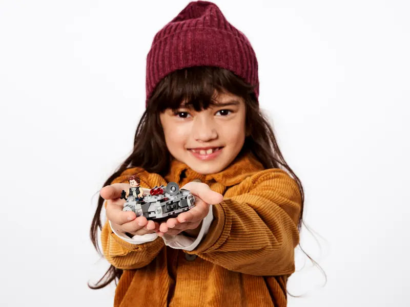 Millennium Falcon Microfighter