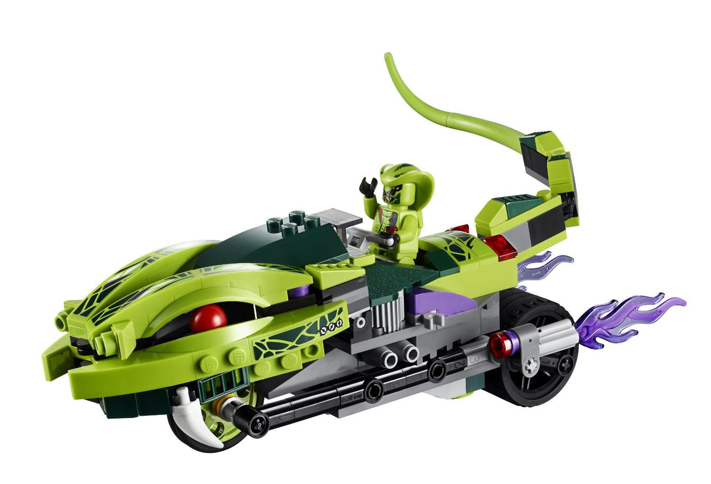 Lasha’s Bite Cycle