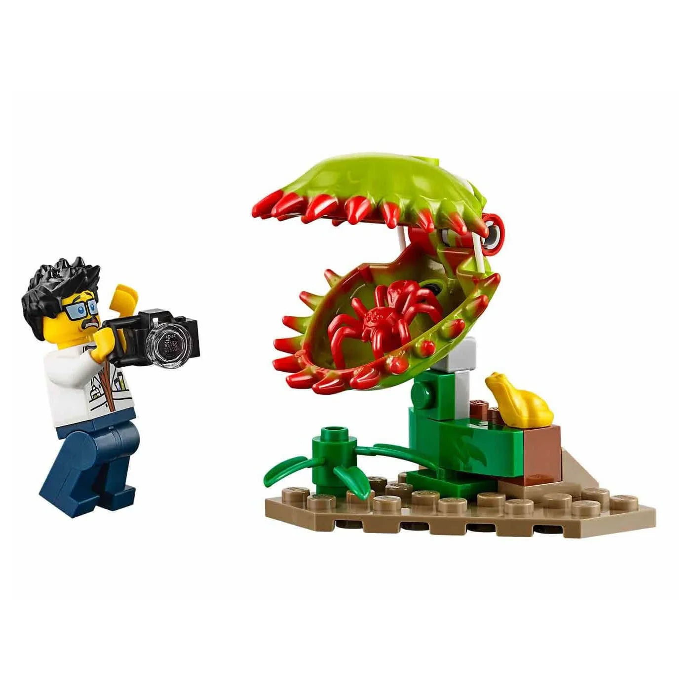 City Jungle Exploration Site