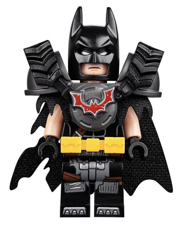 Battle-Ready Batman and MetalBeard